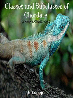 cover image of Classes and Subclasses of Chordate